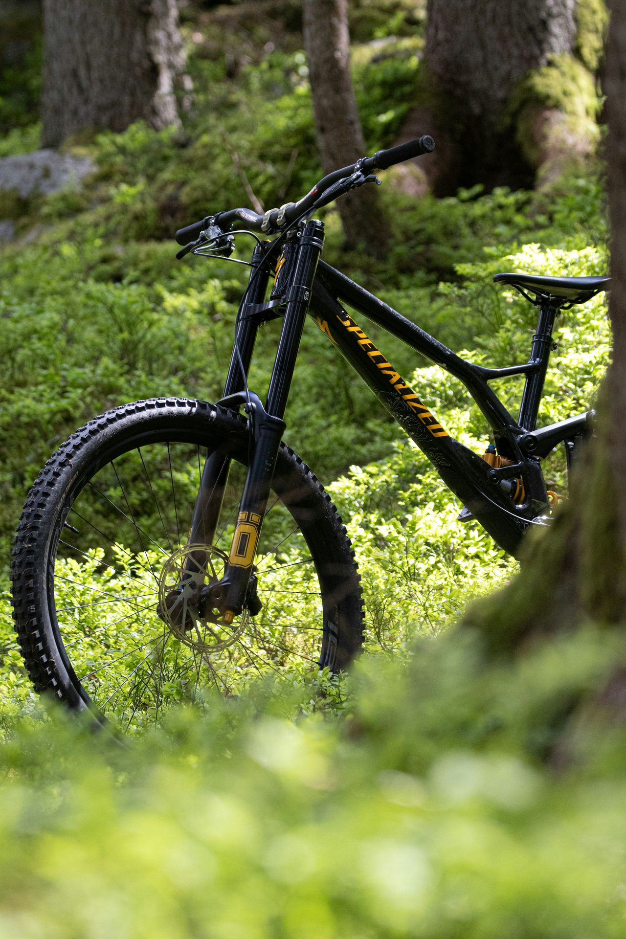 a mountain bike is parked in the woods