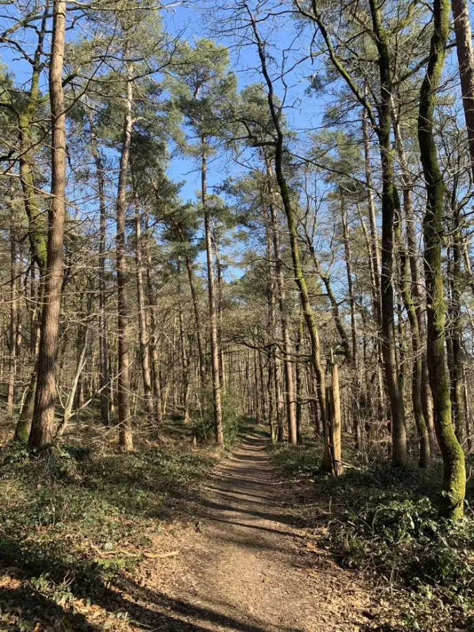 balade sentiers d'art